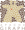 ../_images/apache_giraph-small.png